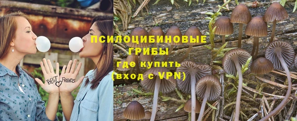 дурь Алексин
