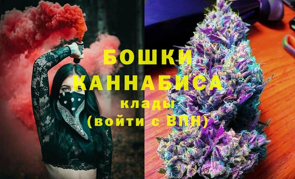 молекула духа Алексеевка