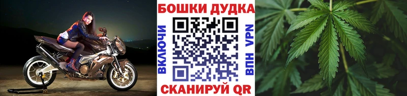 Бошки Шишки ГИДРОПОН  ссылка на мегу ТОР  Гусь-Хрустальный  купить  